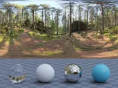 Forest environment preview